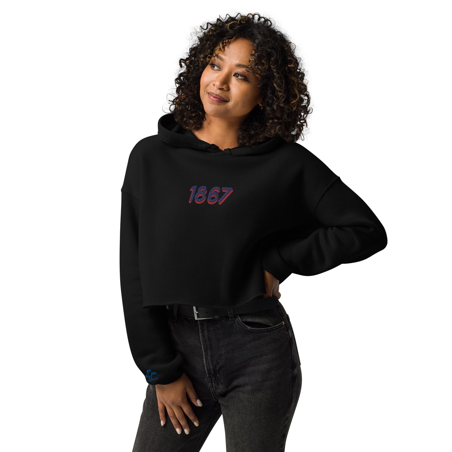 Howard University Crop Hoodie